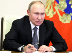 Владимиру Путину нажаловались на сельскую дорогу под Воронежем 