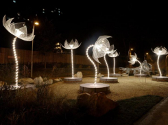 Мэрия Воронежа снова взяла золотую медаль на выставке «Город-сад»