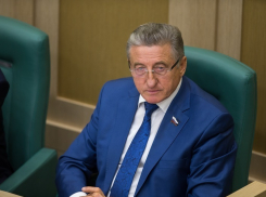 Воронежский сенатор рассказал о новациях Совета Федерации