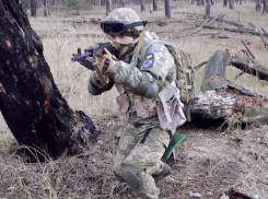 Украинских кибер-диверсантов раскрыли на территории Воронежской области