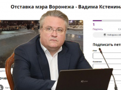 Воронежец создал петицию за отставку мэра Кстенина и назвал конкретные причины