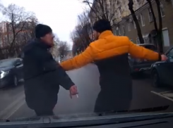 Вальяжное дефиле мужчины по дороге показал водитель в Воронеже