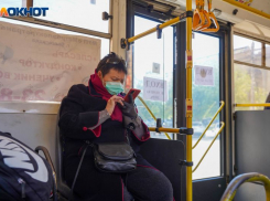 Социологи узнали, готовы ли воронежцы поступиться демократией ради стабильности