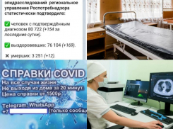 Коронавирус в Воронеже 1 мая: 12 смертей, торговля справками и дистанционная реабилитация