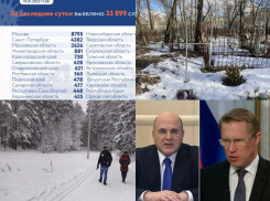 Коронавирус в Воронеже 19 января: + 425 заражений, новое кладбище и приезд Мишустина и Мурашко