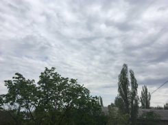 Дожди с грозами принесет южный циклон в Воронеж