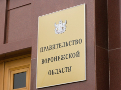 Рупор воронежского правительства начал исправляться