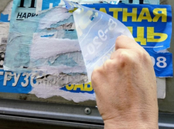 Мэрия Воронежа устроила телефонный спам из-за уличной рекламы