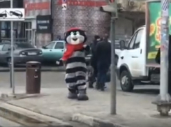 Танцы ростового кота для водителей сняли на видео в Воронеже 