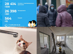 Коронавирус в Воронеже 11 ноября: +15 смертей, мнения о повторной самоизоляции и новая лаборатория