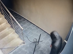 Подъездный Халк разгромил входную дверь и попал на видео в Воронеже 