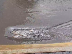 Провал в работе ливневок наглядно показали в Воронеже