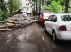 Последствия погодного апокалипсиса сняли на видео в Воронеже