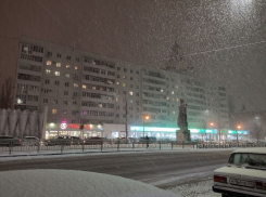 Первый снег накроет Воронеж в начале рабочей недели