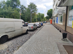 Деревьям не хватило Свободы: мэрия ввела воронежцев в заблуждение из-за масштабной реконструкции 