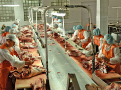 В Воронежской области появится современный мясоперерабатывающий комбинат