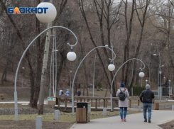  Туалет в воронежском парке отремонтируют за 3,1 млн рублей  