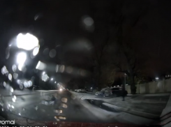 Пес едва не попал под колеса машины в Воронеже