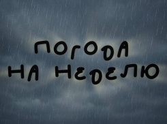 Не надейся на стабильность: неделя погоды не для слабонервных в Воронеже