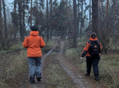 Бабушка всю ночь блуждала по лесу: воронежские волонтеры нашли потерявшуюся женщину