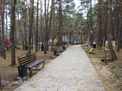 Воронежцы обсудят, каким они хотят видеть обновленный парк «Дельфин»