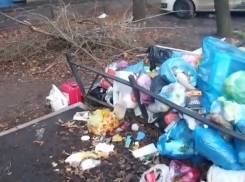 «Слов цензурных нет»: что происходит в пяти минутах от Воронежской областной Думы