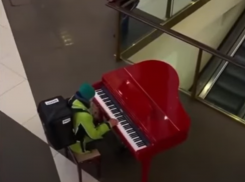 Петербуржский курьер сбацал «Сектор Газа» на рояле  