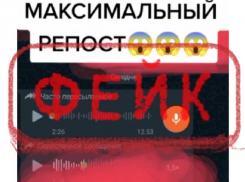 Сообщения о боевых атаках ВСУ на Воронежскую область признали фейком