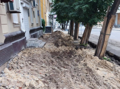 Злоустройство по-воронежски наглядно показали на фото