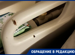 Неприятных усатых «пациентов» сфотографировали в воронежской больнице 