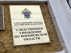 Три арестанта погибли в воронежском СИЗО