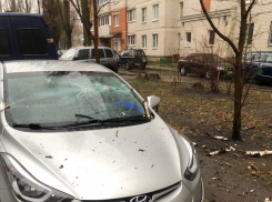 Неприглядные последствия капризной стихии показали на фото в Воронеже 