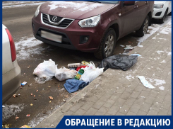 Любимое место молодоженов в Воронеже превращают в помойку