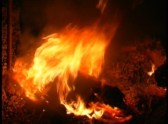 В Терновском районе сгорели 2 тонны сена