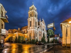 Из Литвы выдворили воронежского изготовителя поддельных карт