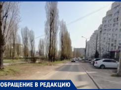 «Запущенность и разруха»: позорное состояние сквера Аллеи Славы показали в Воронеже