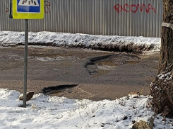 Дублер будущего дублёра МП оказался с червоточиной в Воронеже