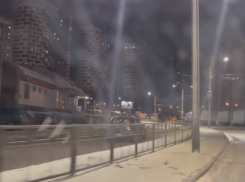 Беспечная поездка по Шишкова попала на видео в Воронеже 