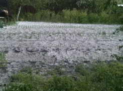 В Воронежской области из-за града водители накрывали машины одеялами, а фермеры спасали урожай