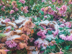 Снегом и морозом встретит новую рабочую неделю Воронеж 