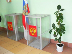 В Воронеже включили в списки для голосования на дому людей, которые не собирались участвовать в выборах