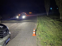 Сидевшего на обочине подростка насмерть сбили в Воронежской области