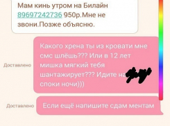 Смешную переписку с мошенником опубликовала жительница Воронежа