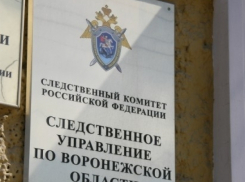 18-летнего воронежца отправят на лечение за убийство знакомой