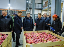 Под Воронежем сын «острогожского помещика» показал Гордееву свое фруктохранилище
