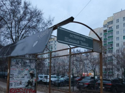 Крыша едет: остановку без «прикрытия» обнаружили в Воронеже