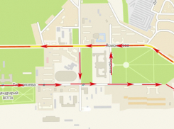 В Воронеже по Ломоносова и Тимирязева автобусы пока будут ходить по старому маршруту