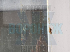 Недоброе утро: неприятный сюрприз обнаружили на своем подоконнике жители Воронежа