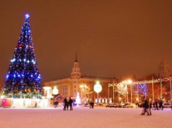 Проведение Нового года в Воронежской области будут охранять 3 тысячи 500 полицейских