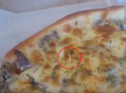 Житель Воронежа обнаружил живое насекомое в пицце 